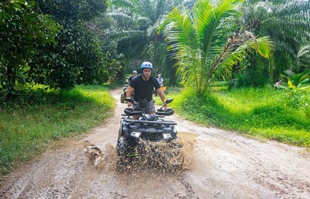 Khaolak Wild Ride and Gentle Giants Experience