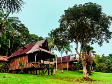 Three-Day Jungle Lodge Tour in Pacaya Samiria, Iquitos