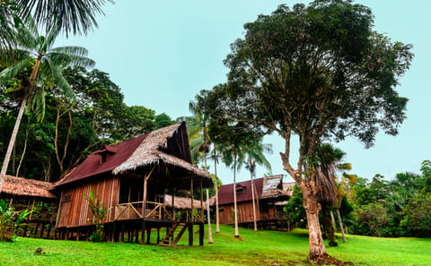 Three-Day Jungle Lodge Tour in Pacaya Samiria, Iquitos