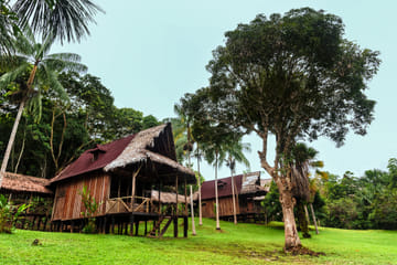 Three-Day Jungle Lodge Tour in Pacaya Samiria, Iquitos