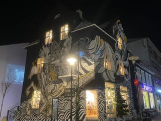 Reykjavik History and Sightseeing Walking Tour, photo 15