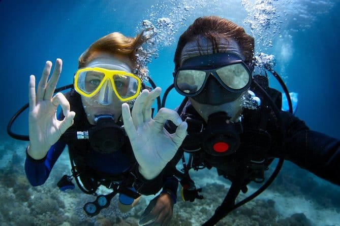 Dubai : Scuba Diving in Arabian Gulf Marine Life