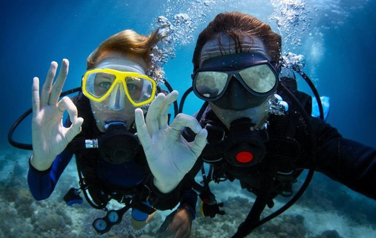 Dubai : Scuba Diving in Arabian Gulf Marine Life
