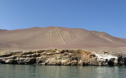 Ballestas Islands Wildlife Boat Tour from Paracas