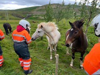 Midnight Sun - Viking way ATV Adventure with transfer from Reykjavik, photo 19