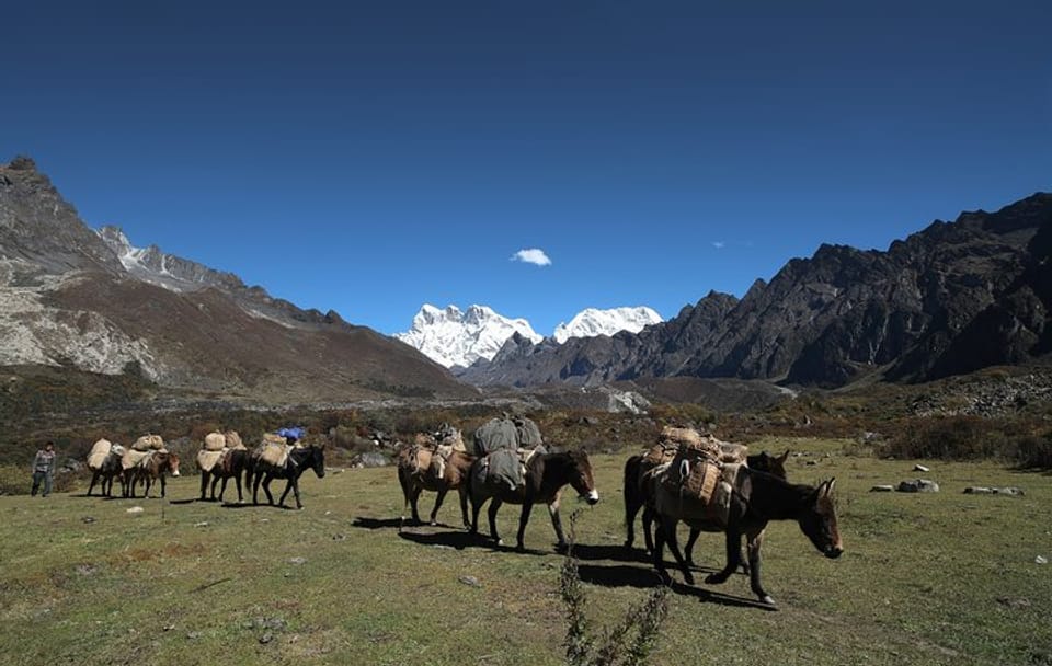 12-Day Bhutan Adventure with Gangtey Nature Trek