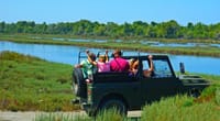 Jeep Safari & Bird Watching 4