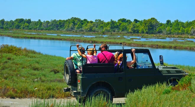 Jeep Safari & Bird Watching 4