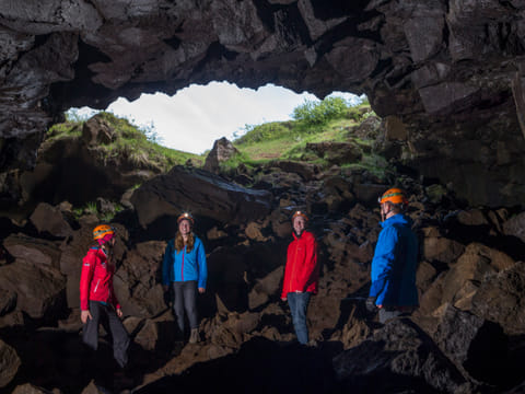 Whale Watching & Caving
