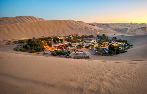 Lim-01 : Full Day Tour In Paracas Ica And Huacachina from Lima