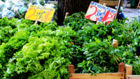 East Meets West Food Tour 8