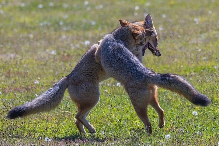 4-Day Atacama Desert Experience with Hotel, Tours & Meals