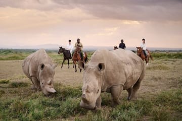 Day Tour To Ol Pejeta Conservancy