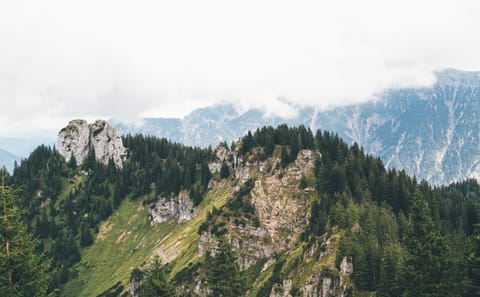 Munich City Break: 4-Day Tour with Castles and Transfers