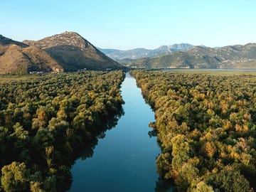 Skadar Lake Boat Tour with Vranjina Monastery Visit and Wine Tasting