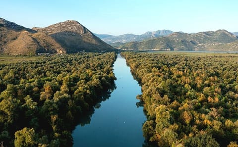 Skadar Lake Boat Tour with Vranjina Monastery Visit and Wine Tasting