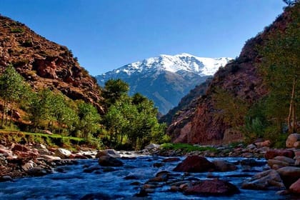Marrakech: Ourika Valley, Atlas Waterfalls with Guide &Lunch