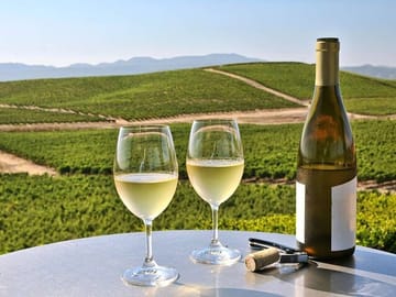 Napa and Sonoma Wine Tour from San Francisco in SUV