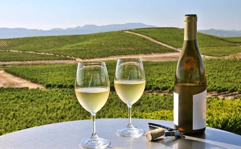 Napa and Sonoma Wine Tour from San Francisco in SUV