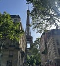Tastes Around the Tower: Gourmet Tour of Paris' 7th District 4