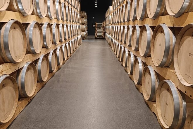 2 Day Ribera del Duero Private Wine Tour from Madrid - Photo 4