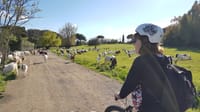 Ancient Appian Way Private e-Bike Tour 8