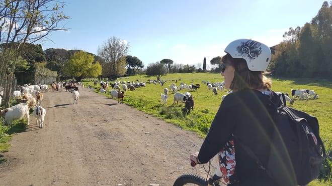 Ancient Appian Way Private e-Bike Tour 8