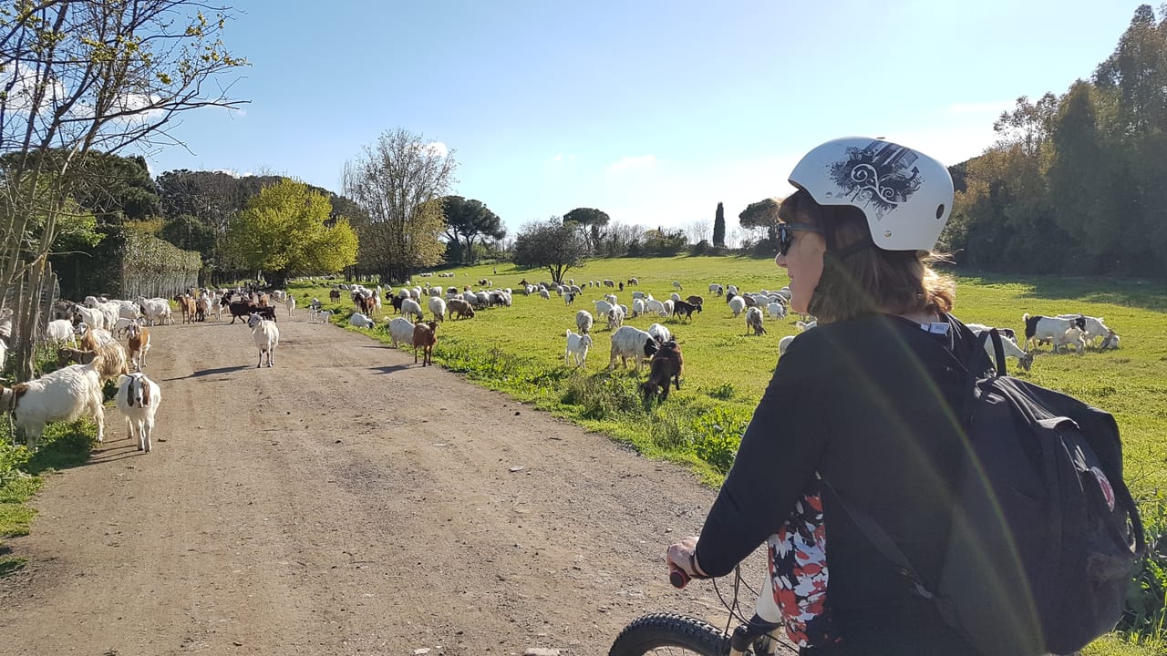 Ancient Appian Way Private e-Bike Tour 8