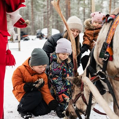 Safari diurno con renos – Experiencia de 3 horas en la naturaleza en Rovaniemi