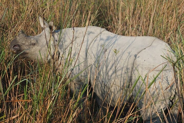 Assam & Arunachal The Buddhist Monasteries & Tribal Culture Tour
