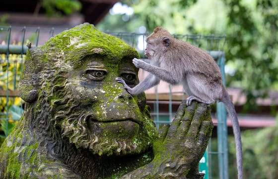 Best of Ubud Full-Day Tour with Jungle Swing