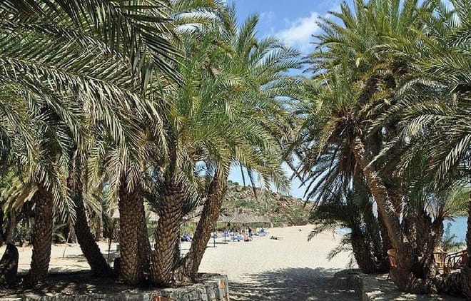 East Crete: Tour to Ierapetra- Toplou Monastery - Palm Beach of Vai - Sitia