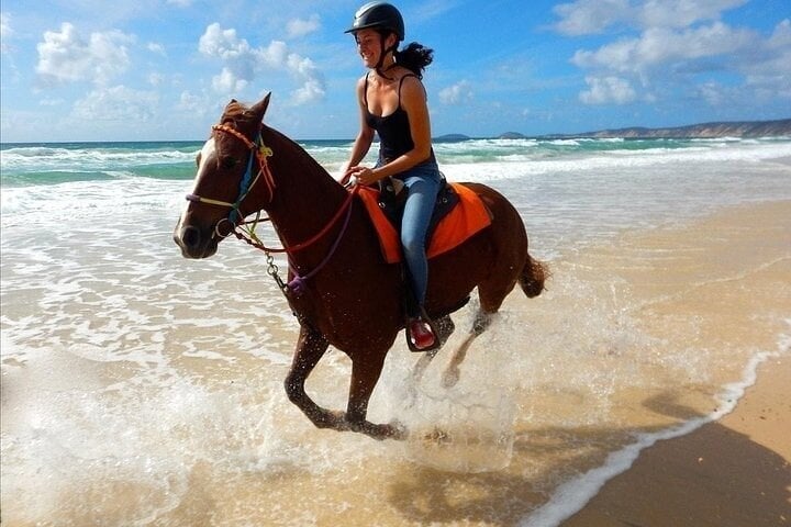 Hurghada : Horse Riding 2 Hours Sea & Desert with Transfer 9