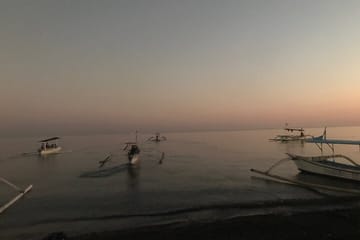 Lovina Dolphin Swim & Snorkel Sunrise with Scenic Viewpoints