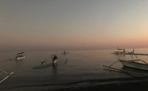 Dolphin Watching and Snorkeling Tour in Lovina Beach