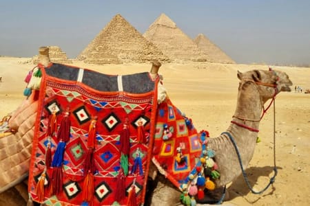 All inclusive Tour in Giza Pyramids,Sphinx,inside pyramid&camels