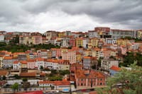 Coimbra Private Walking Tour with a Professional Guide 4
