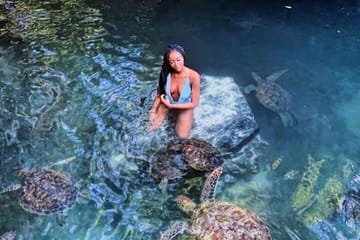 Baraka Aquarium in Swimming with Turtles and Sunset Dhow Cruise