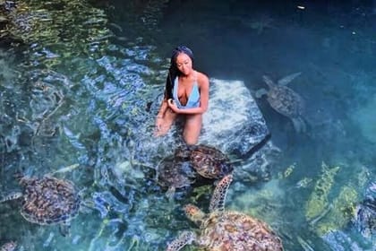 Baraka Aquarium in Swimming with Turtles and Sunset Dhow Cruise