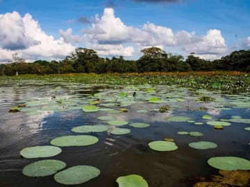 Cultural and Nature Safari Tour in Colombo, Sri Lanka