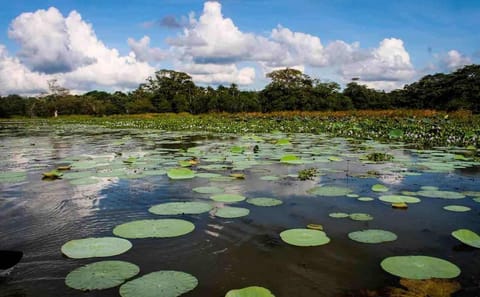 Cultural and Nature Safari Tour in Colombo, Sri Lanka