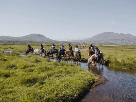 1,5h Trail Ride for All Levels, photo 5