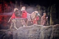 Silk Road Show:Legend of Camel Bell Includes Round-trip Transfers 1