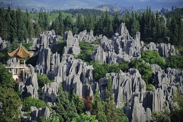 Stone Forest and Jiuxiang Cave Day Tour in Yunnan