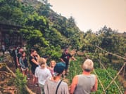 The Rainforest Tour - Small Group Trip with Tasting 5