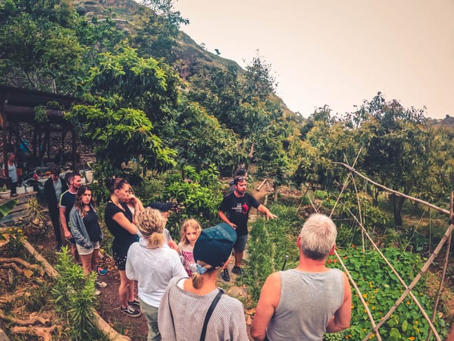 The Rainforest Tour - Small Group Trip with Tasting photo 5