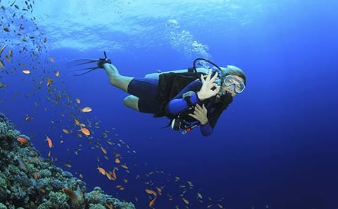 Scuba Diving Day Trip in Hurghada “Beginner”