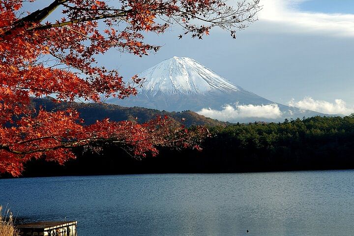 Full Day Private Guided Tour Mt. Fuji and Hakone