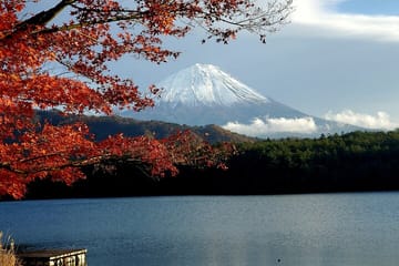 Mt. Fuji and Hakone Customizable English Guided Private Tour