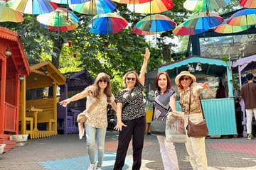 Private Guided Tour of Istanbul's Highlights in 1 or 2 Days